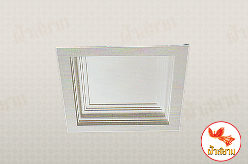 ฝ้าเพดานหลุม