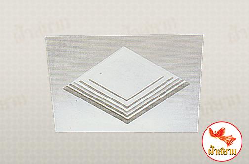 ฝ้าเพดานหลุม