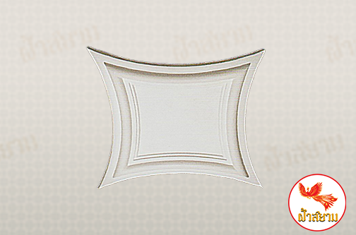 ฝ้าเพดานหลุม