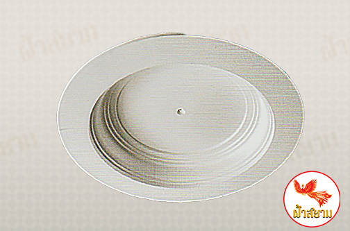 ฝ้าเพดานหลุม