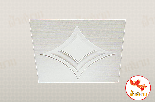 ฝ้าเพดานหลุม