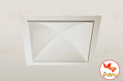 ฝ้าเพดานหลุม